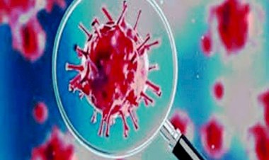 बिहार : भागलपुर में DM, DDC, ADM के बाद कमिश्नर भी कोरोना संक्रमित