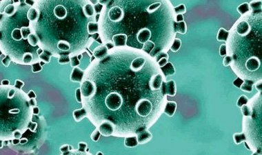 झारखंड: हाई कोर्ट के कोर्ट मास्टर, पीए और एक अर्दली की कोरोना पॉजिटिव, स्टेट में 179 पुलिसकर्मी संक्रमित