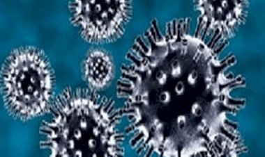 बिहार: 1820 नये पेसेंट मिले, एक दिन में तीन डॉक्टर की मौत, संक्रमितों की संख्या 33,511 पहुंची