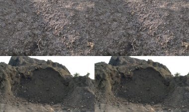 धनबाद: इलिगल कोल कारोबार का सबसे बड़ा सेंटर बना सिंदरी मार्शलिंग यार्ड साइडिंग, धंधे पर कब्जे को लेकर टेंशन