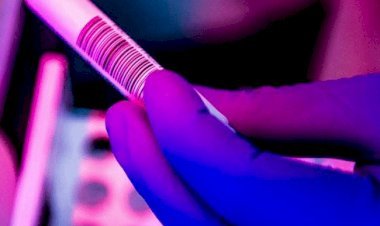 धनबाद में कोरोना बलास्ट, एक दिन में रिकार्ड 61 पॉजिटिव मिले, जिले में संक्रमितों की संख्या 600 पहुंची