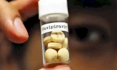 नई दिल्ली: पेसेंट के लिए सन फार्मा ने लॉन्च की दवा फेविपिराविर, 35 रुपए पर टैबलेट है फ्लूगार्ड की प्राइस