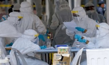 नई दिल्ली: इंडिया में कोरोना संक्रमितों की संख्या 5020360 पहुंची, 3942361 लोग ठीक हुए, 82066 की मौत