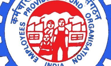 नई दिल्ली: वाट्सऐप पर मैसेज कर स्टाफ पा सकते हैं पीएफ अकाउंट से जुड़ी प्रोबलम का समाधान