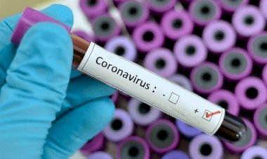 धनबाद में 19 अक्टूबर को 31 कोरोना पॉजिटिव मिले, जिले संक्रमितों की संख्या 5832 पहुंची