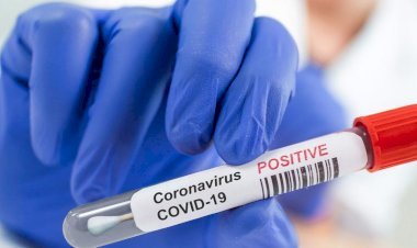 धनबाद में 16 नवंबर को 12 कोरोना पॉजिटिव मिले, जिले में संक्रमितों की संख्या 6798 हुई