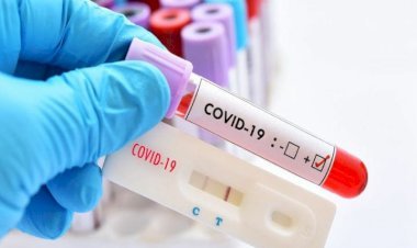 धनबाद में 18 नवंबर को मिले 29 कोरोना पॉजिटिव, जिले में संक्रमितों की संख्या 6846 पहुंची