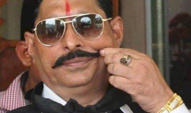 बिहार: मोकामा MLA अनंत कुमार सिंह सबसे अमीर, 243 एमएलए में 81 परसेंट करोड़पति,टॉप पर 'छोटे सरकार' 