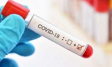 बिहार:एक्स मिनिस्टर सीपी ठाकुर व एमपी ललन सिंह मिले पॉजिटिव, कोरोना की नई लहर रोकने को गवर्नमेंट अलर्ट