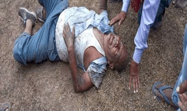 धनबाद: मधुमक्खियों के झुंड के हमले में इंटक लीडर जख्मी, हालत गंभीर सेंट्रल हॉस्पीटल में एडमिट