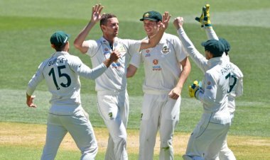 Ind vs Aus 1st Test Match: ऑस्ट्रेलिया ने इंडिया को आठ विकेट से हराया, डे-नाइट टेस्ट सीरीज में 1-0 की बढ़त बनायी