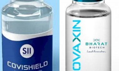 नई दिल्ली: कोविशील्ड और कोवैक्सीन के इमरजेंसी इस्तेमाल की मंजूरी, PM मोदी ने दी बधाई