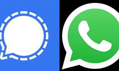 WhatsApp का साथ छोड़ Signal के पीछे 'भाग रहे' यूजर्स, नई मैसेजिंग ऐप का बढ़ा क्रेज़
