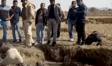 झारखंड: बॉडी मिलने के नौ दिनों बाद मिला युवती का सिर, मर्डर के आरोपी बिलाल की तलाश जारी