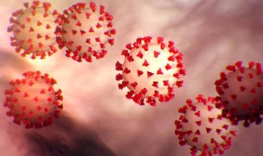 झारखंड में 11 मार्च को 31 कोरोना संक्रमित मिले, 40 ठीक हुए, स्टेट में कोरोना 120467 केस, 511 एक्टिव केस