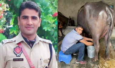 पंजाब:भैंस का दूध निकाल रहे हैं चंडीगढ़ के SSP कुलदीप सिंह चहल, फेसबुक पर फोटो शेयर कर युवाओं को दिया संदेश