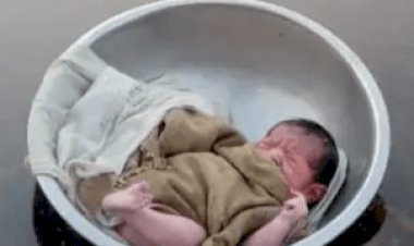 मथुराः यमुना में तसले में बहता मिला नवजात, जिला अस्पताल में डॉक्टरों ने ऑब्जर्वेशन में रखा
