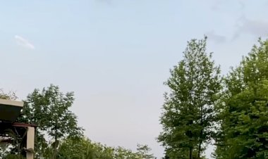 झारखंड: साक्षी ने इंस्टाग्राम शेयर किया माही का ये खास वीडियो, लॉकडाउन में घर में पालतू कुत्तों के साथ समय बीताते MS धौनी 