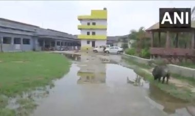 बिहार: DMCH यानी 'डरावना मेडिकल कॉलेज हॉस्पीटल' यह है सुशासन की हेल्थ सिस्टम