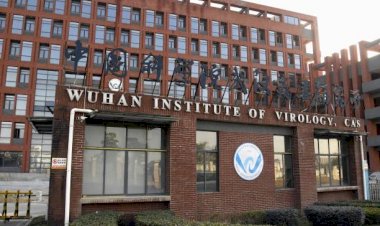 बुहान की लैब में चीनी साइंडिस्ट्स ने ही बनाया था कोरोना वायरस, नये स्टडीज में खुलासा
