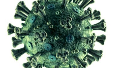 OMICRON के सबवेरिएंट XBB के कारण आ सकती है कोरोना की एक और लहर, WHO की चीफ साइंटिस्ट ने दिए संकेत