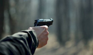 Bihar: हर्ष फायरिंग में 17 की मौत, 199 अरेस्ट, पुलिस- प्रशासन सख्त, मैरेज हॉल की बनेगी लिस्ट,लगेंगे CCTV कैमरे