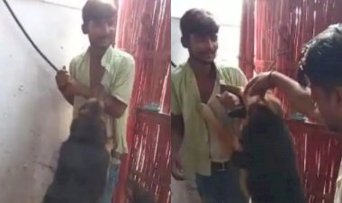 बिहार: समस्तीपुर में चिकनशॉप मालिक ने नौकर को कमरे में बंद करके कुत्तों से कटवाया, बेल्टों से पीटा वीडियो वायरल