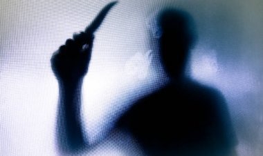 मुजफ्फरपुर: प्रेमी संग मिलकर वाइफ ने हसबैंड का किया कत्ल, बॉडी को तीन टुकड़े कर ड्रम में रख लगा दी आग