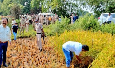 झारखंड: साहिबगंज डीसी ने खेत में की धनकटनी, बोले-किसान का बेटा हूं, किसानों को किया धान अधिप्राप्ति के लिए प्रेरित