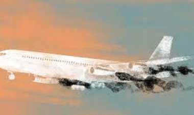 नई दिल्ली: इंटरनेशनल पैसेंजर प्लेन 31जनवरी तक रहेंगी सस्पेंड