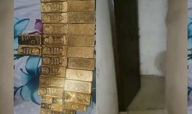 उत्तर प्रदेश : कानपुर में परफ्युम बिजनसमैन पीयूष जैन के घर से मिले विदेशी मुहर लगे सोने के बिस्किट, 194 करोड़ कैश बरामद
