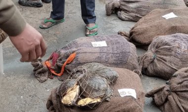 बिहार: भागलपुर व कटिहार में 1083 कछुआ बरामद. पांच महिला सहित आठ तस्कर अरेस्ट