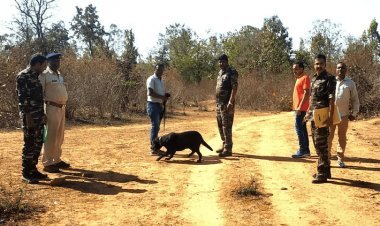 झारखंड: लातेहार में महिला की पीट-पीटकर मर्डर, बॉडी को जलाया