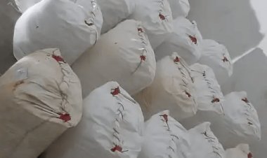 गुजरात: वडोदरा व भरूच में दो हजार करोड़ का ड्रग्स जब्त