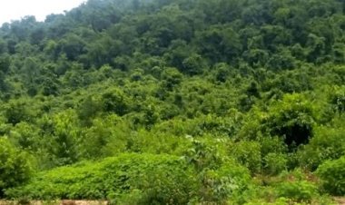 झारखंड: सुरक्षाबलों व नक्सलियों के बीच एनकाउंटर, बूढ़ा पहाड़ पर बंकर ध्वस्त, राशन व अन्य सामान बरामद