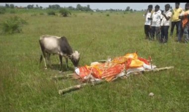 झारखंड: हजारीबाग में मालिक की मौत पर रोया बछड़ा, दाह संस्कार में हुआ शामिल, चिता की परिक्रमा  किया