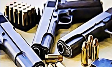 बिहार: रसूखदारों से आर्म्स जब्त करेगी गवर्नमेंट,  662 रसूखदार जिनके पास तीन से अधिक आर्म्स