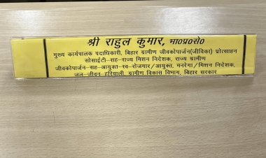 Bihar: IAS अफसर राहुल कुमार के नेम प्लेट पर डिपार्टमेंट के नाम कम पड़ गये, कई डिपार्टमेंट का जिम्मा