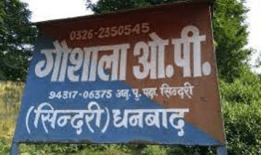 Dhanbad: गौशाला ओपी प्रभारी प्रतिदिन करा रहे 1500 टन Illegal Coal Mining पुलिस हेडक्वार्टर में की गयी कंपलेन