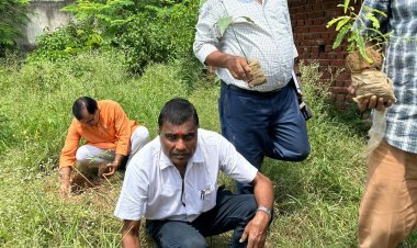 Dhanbad :आरोग्य भारती का पर्यावरण सप्ताह, कुमार बीएड कॉलेज कैंपस में वृक्षारोपण 