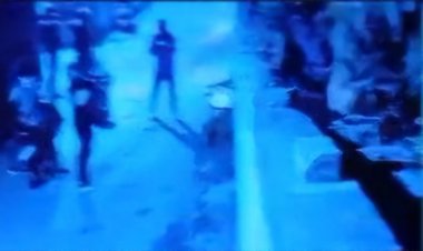 Jharkhand: जमशेदपुर में परमजीत सिंह गैंग के गुड्डू पांडेय के घर पर 15 राउंड फायरिंग, एक शूटर घायल