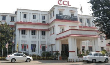 Jharkhand : CCL की चंद्रगुप्त प्रोजेक्ट की 417 एकड़ वन भूमि का रिकॉर्ड गायब