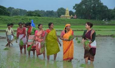 Jharkhand : खेत में धान रोपनी करने उतरीं कृषि मंत्री शिल्पी नेहा तिर्की, महिलाओं ने गीतों से किया स्वागत