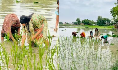 Uttar Pradesh: MP प्रिया सरोज ने की धान की रोपनी, दोस्तों के साथ खेत में उतरी