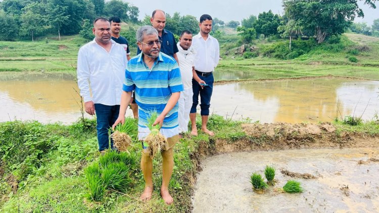 Jharkhand : बाबूलाल मरांडी अपने खेत में किया धान रोपनी, सोशल मीडिया पर शेयर की फोटो