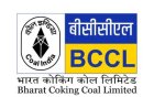 धनबाद: BCCL का धमाका! पहले ही दिन ई-ऑक्शन में 2.36 लाख टन कोयले की रिकॉर्ड बुकिंग