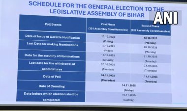 Bihar Election 2025: 6 और 11 नवंबर को मतदान, 14 नवंबर को रिजल्ट