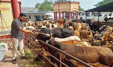 Dhanbad: झरिया में मारवाड़ी युवा मंच ने किया गौ सेवा एवं तुला दान का पावन आयोजन