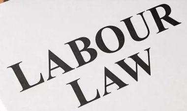 आज से नया लेबर लॉ:“एक साल की नौकरी पर ग्रेच्युटी, ओवरटाइम पर डबल सैलरी”