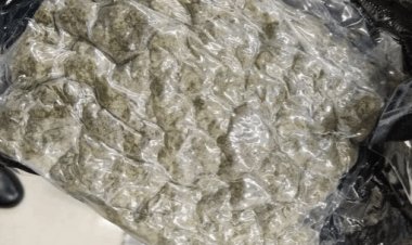 गया एयरपोर्ट पर अंतरराष्ट्रीय ड्रग्स रैकेट का भंडाफोड़, 25 किलो हाइड्रोपोनिक वीड्स के साथ 5 तस्कर गिरफ्तार